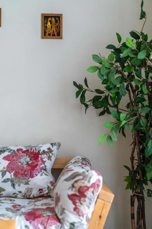Albergue Miedzynarodowe Schronisko Mlodziezowe Ptsm Szarotka Zakopane Hostal